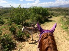 Mexico-Oaxaca-Ocotlan Valley to La Compañía